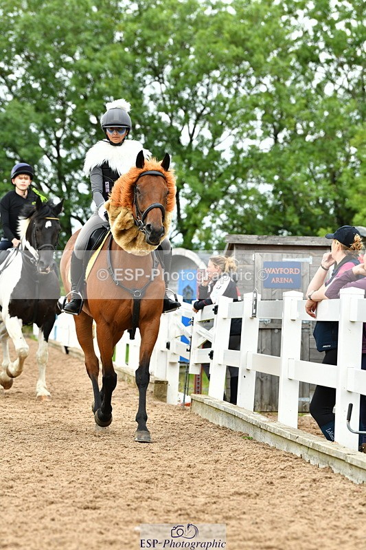 230804A-105659-02059 - Musical Ride