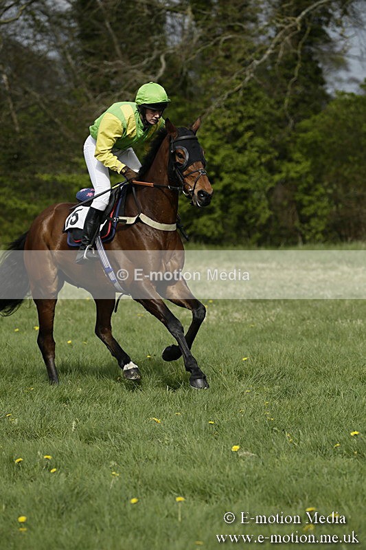 PtP 170417 277 - Old Berks Point-to-Point Lockinge 17/04/17