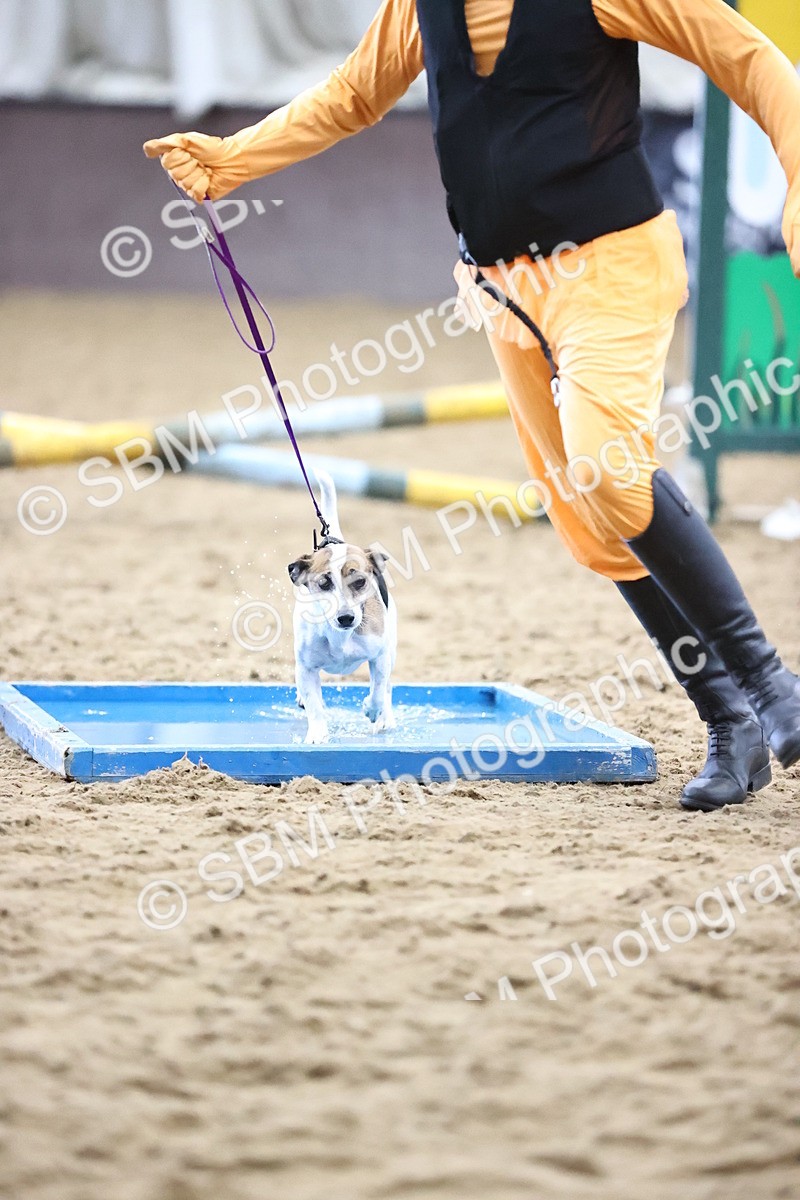 SBM_001241 - Class 3 - Horse & Hound 60cm