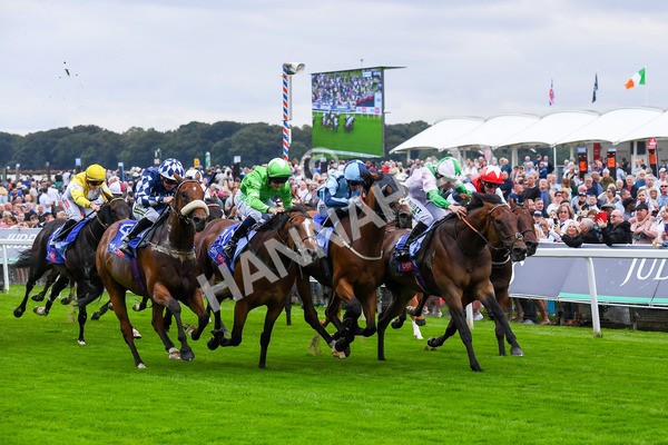 230823-Race 1-Equilateral-0248 - Race 1 1.50pm Sky Bet And Symphony Group Handicap