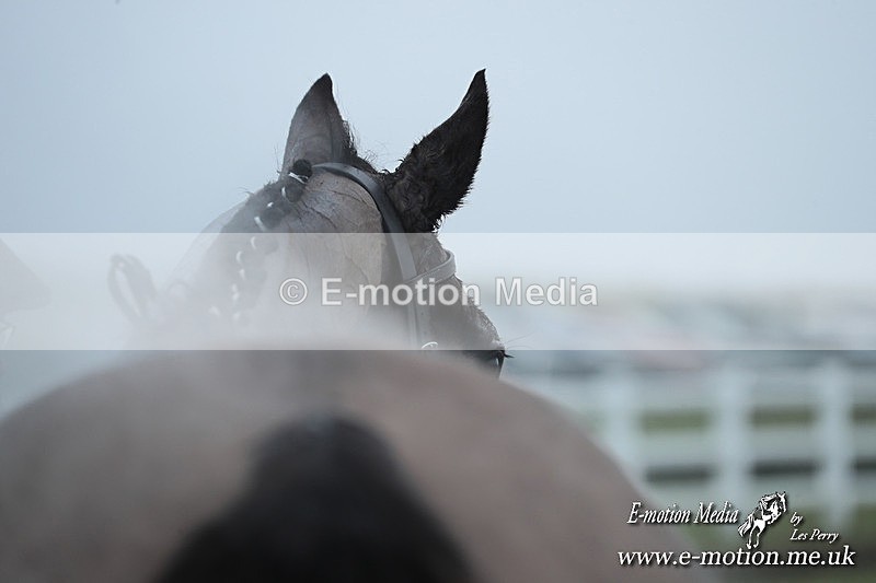 PtP 180126  1075 - Royal Artillery PtP Larkhill 18/01/26