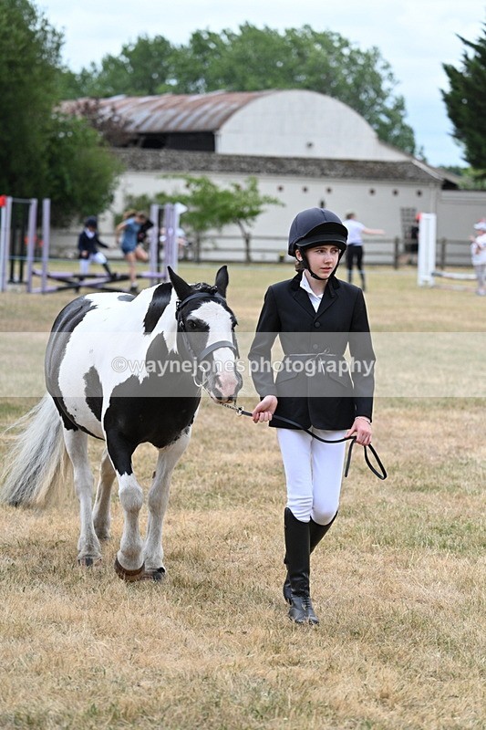 WJ7_1431 - Class 4 Prettiest Mare up to 14.2hh in hand
