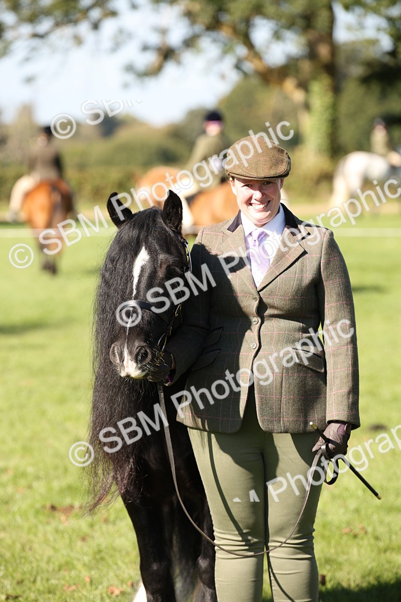 SBM_36681 - S10 - Best In Hand Horse & Pony