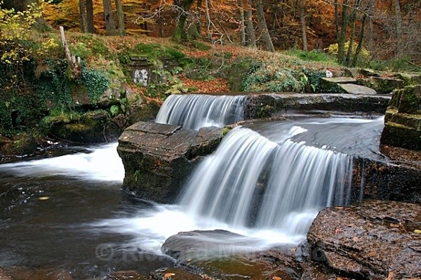  - Autumn