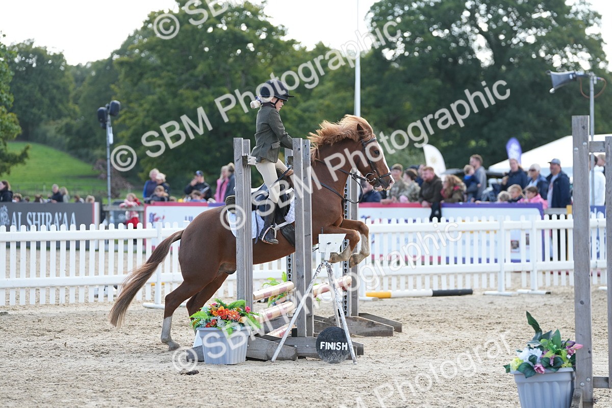 SBM_46734 - J7 - Junior Pony 60cm Championship