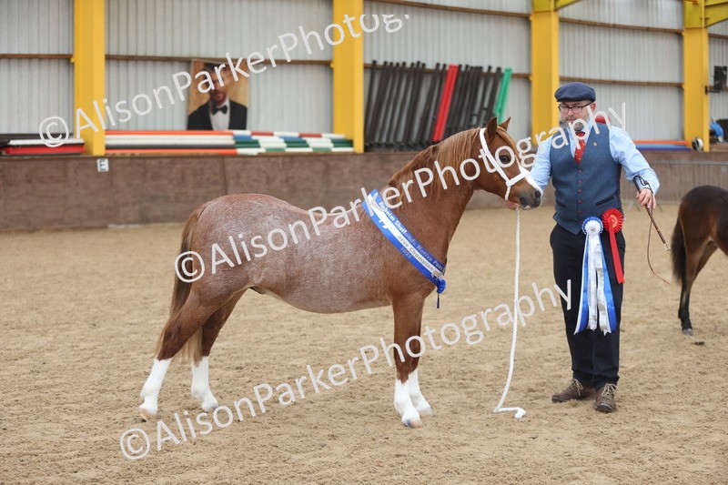 20251109-0704 - Championship