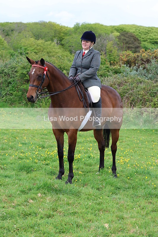 3E7A1882 - Class 9: Riding Club Horse/Pony