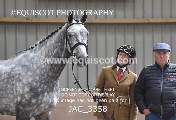JAC_3358 - CLASS 8 BHS Scotland Riding Club Working Hunter Qualifier
