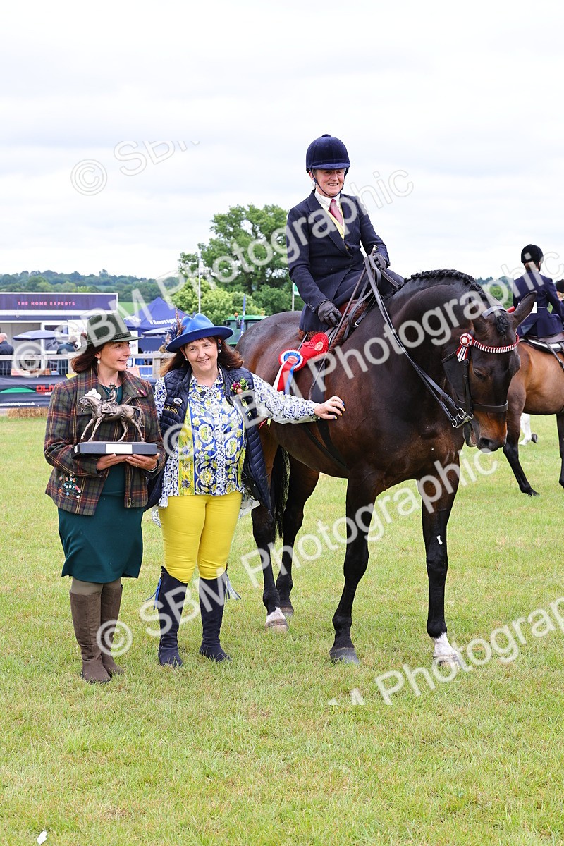 SBM_02888 - Class 9-11 Side Saddle including LIHS Rising Star Ladies Show Horse