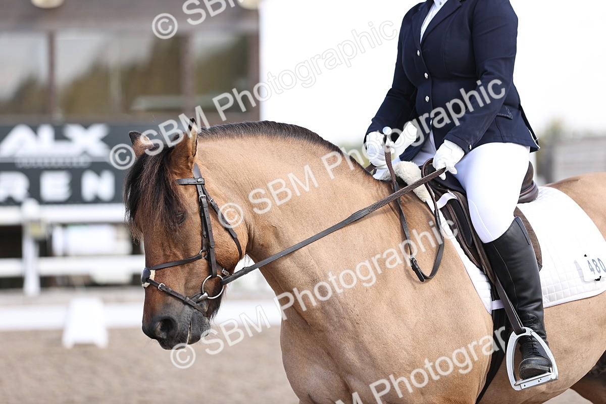 SBM_03591 - CLass 35 Intro 3