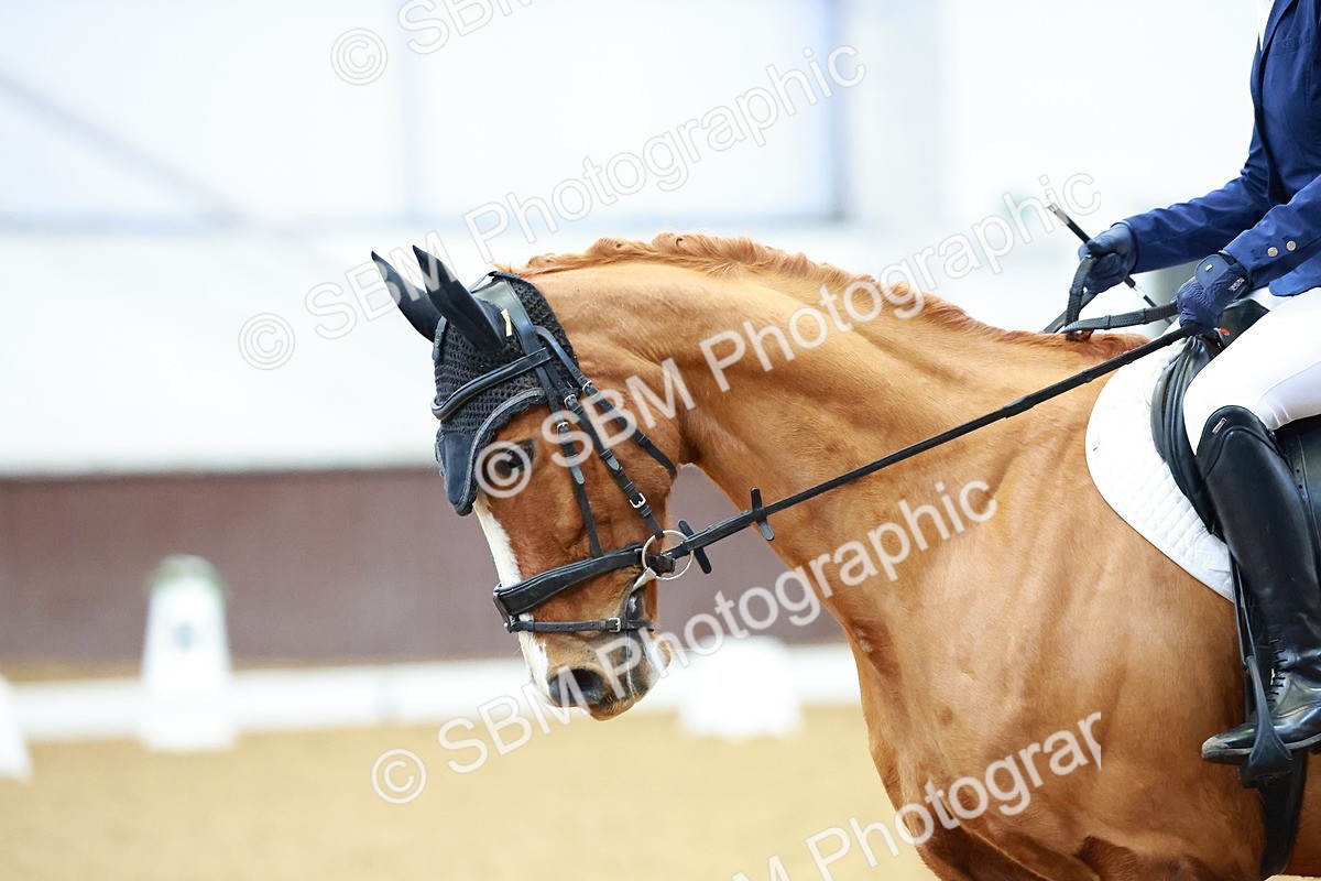 SBM_003265 - Class 1-2 - P4-P6