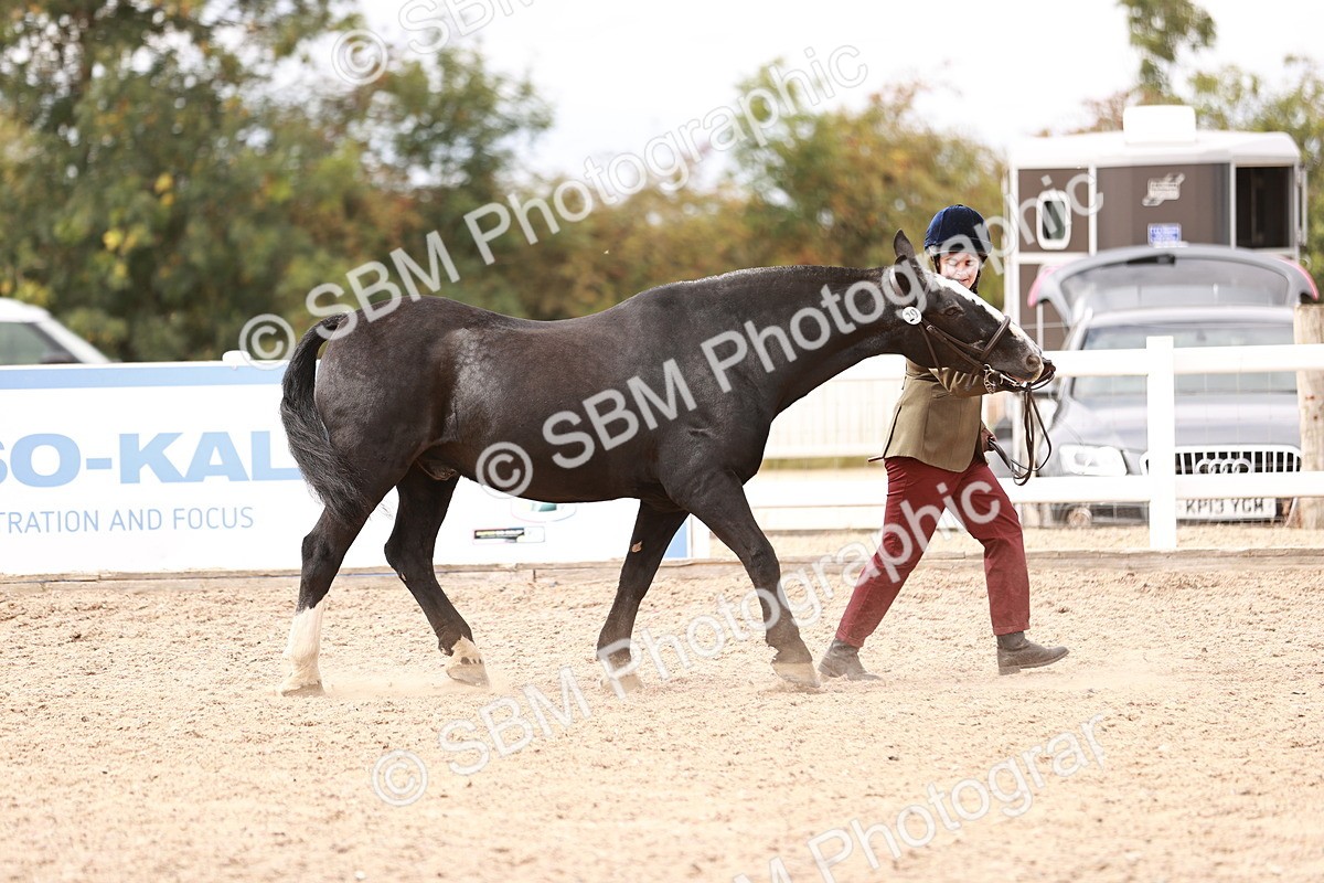 SBM_16296 - Class 413 - Best Condition - Adult