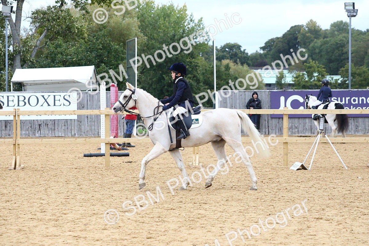SBM_68298 - J3b - Mini Tour Junior Pony 40cm Championship