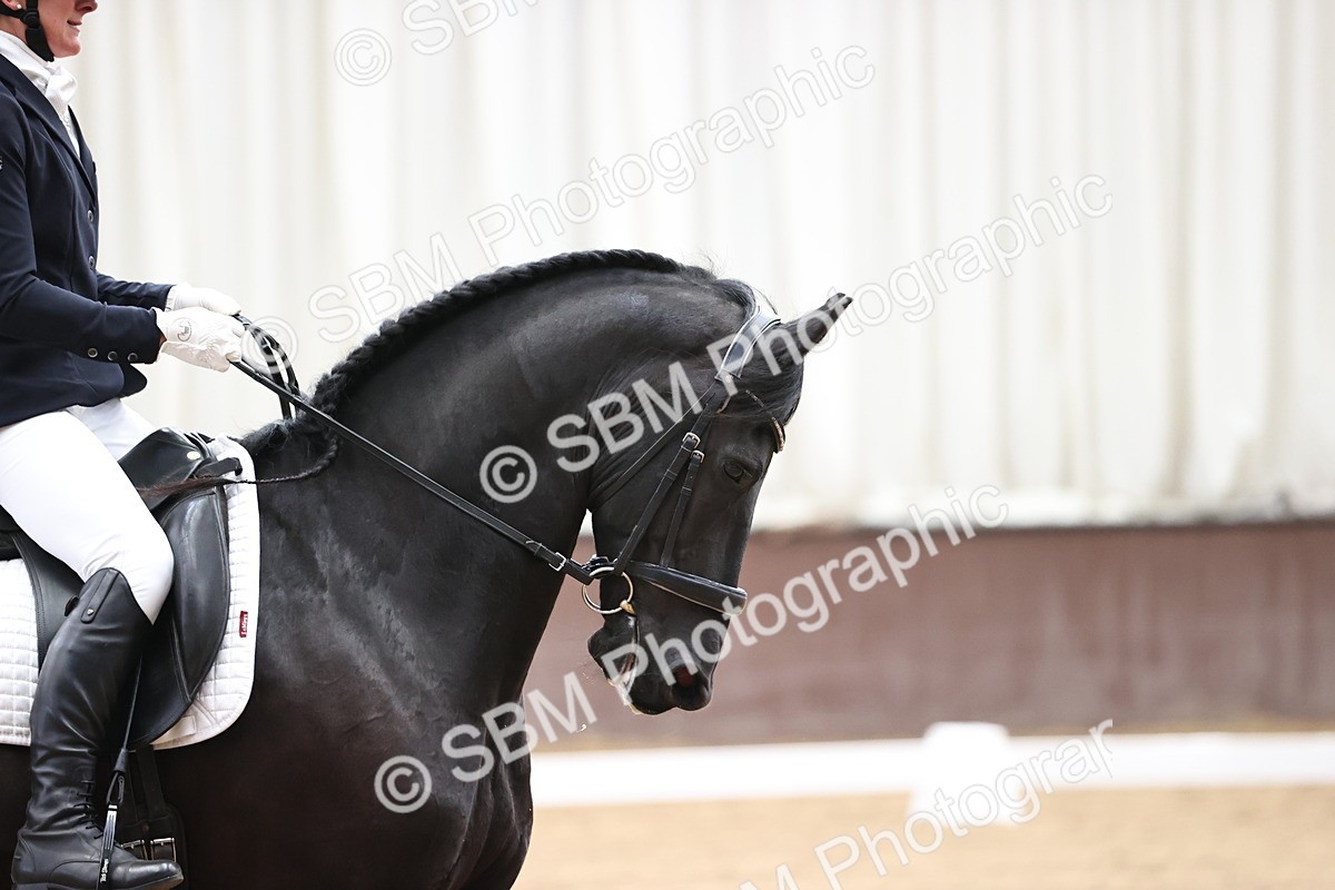 SBM_019871 - Class 23 - Medium FSM