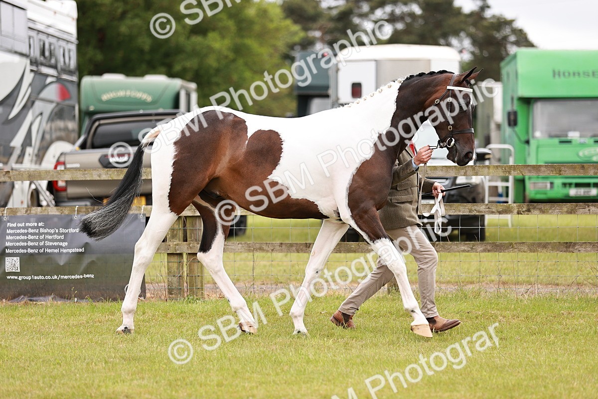 SBM_04510 - Class 5-8 - BSPA In hand