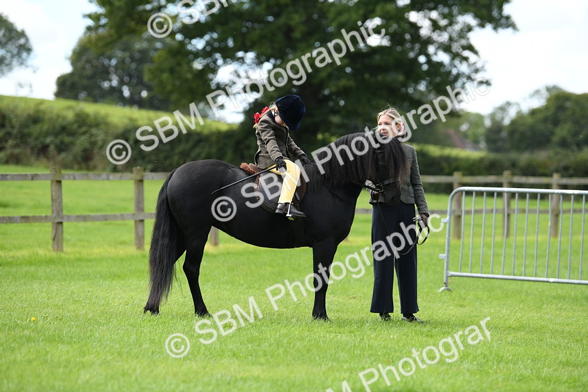 SBM_42545 - S20 - Lead Rein Mountain & Moorland Pony