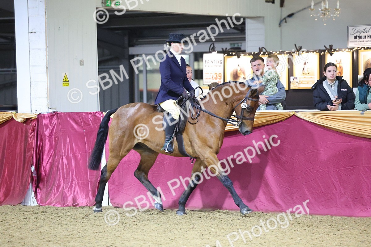 0B8A4651 - Class R Working Veteran Champ