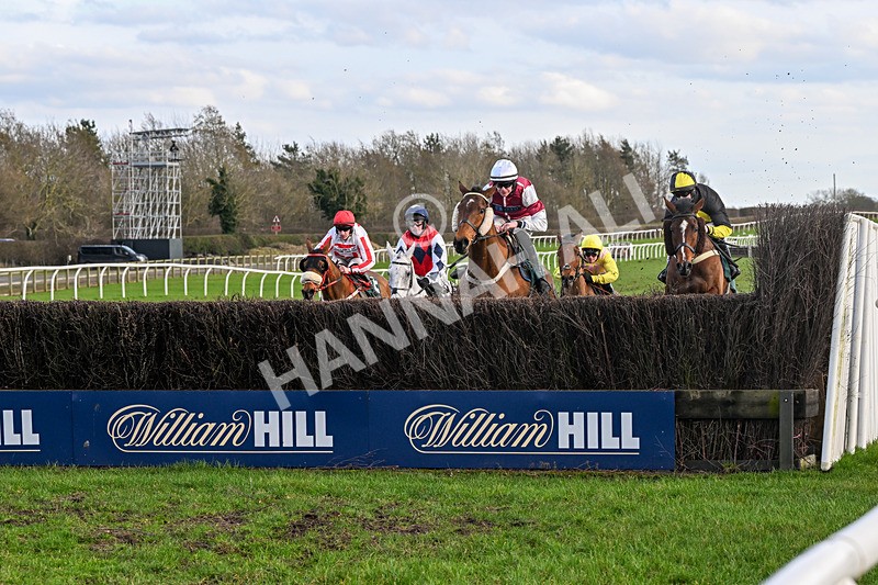 240226-Race 5-Chasingouttheblues-7091 - Race 5