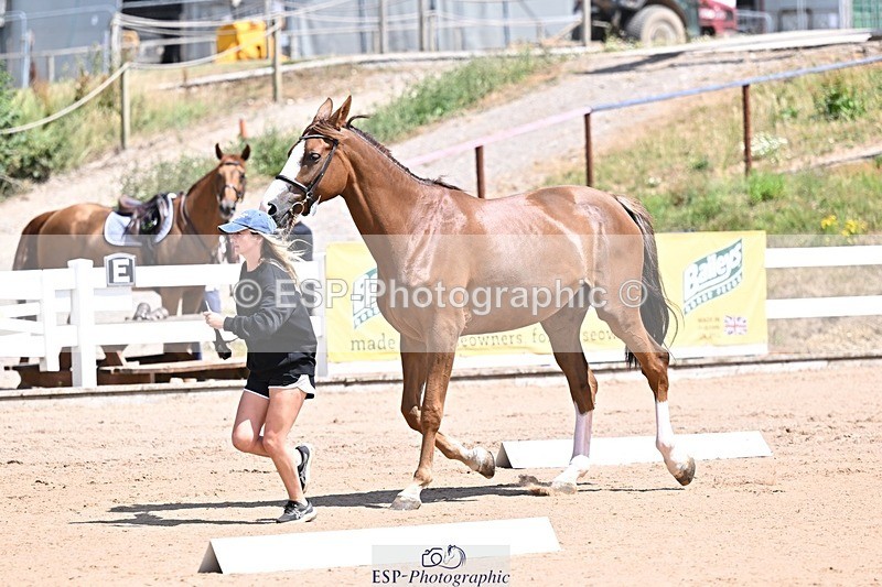 250716-123824-00076 - Trot Up 12.30 to 1.30