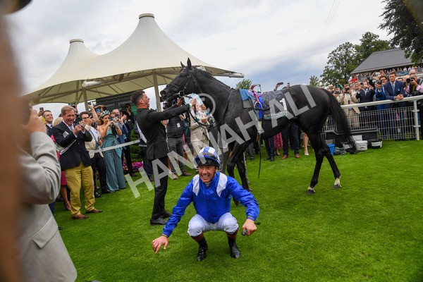 230823-Race 4-Mostahdaf-0384 - Race 4 3.35pm Juddmonte International Stakes