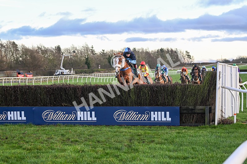 281224-Race 5-Poetry Man-4740 - Race 5