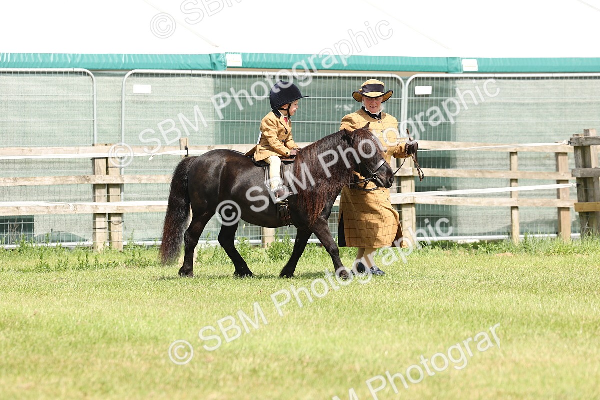 SBM_05168 - Class 24-25 - Mountain & Moorland In Hand Lead Rein and First Ridden