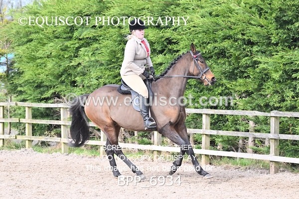 BPP_6934 - RING 1  (RIDDEN HORSES / IN HAND / VETERAN ETC)