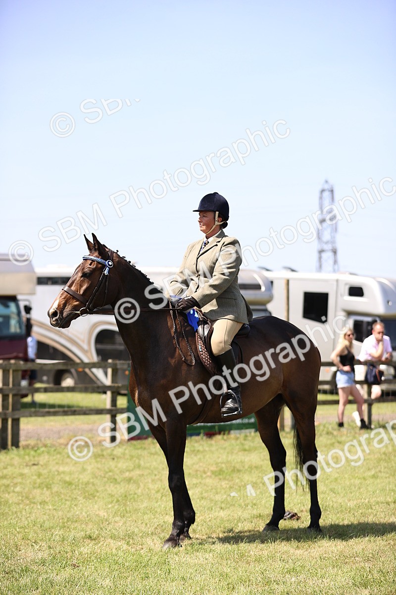 SBM_14986 - Class 78 - LIHS BSHA Open Racehorse & Show Horse