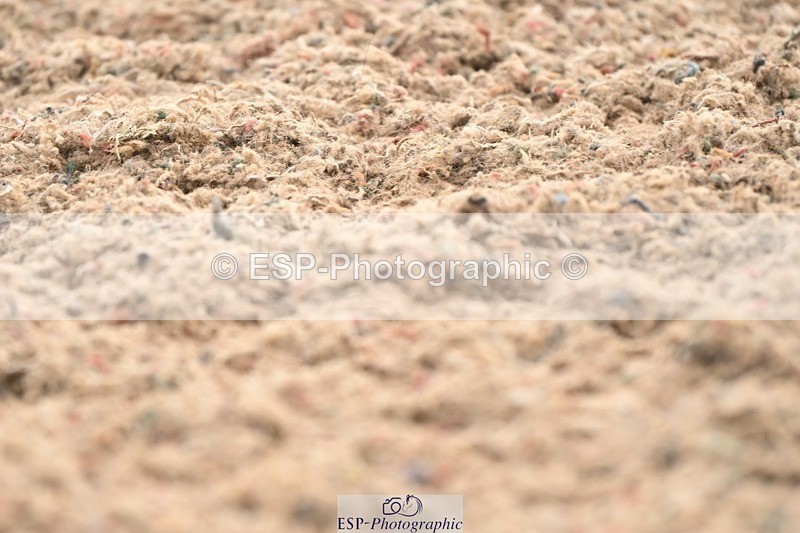 250620-085501-02339 - BD Cls 1 - Preliminary 5, Start to 9.20am