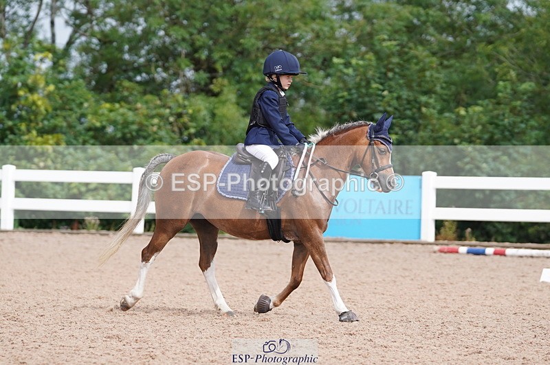 240809A-100606-00427 - Dressage Competition