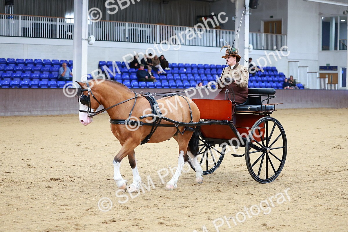 SBM_000137 - Class 3 - Alison Thomas Memorial Lady Whip