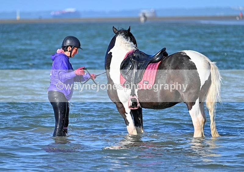 WJ7_3576_1 - Kellie & Churchill ... do Hayling Island 25-08-24
