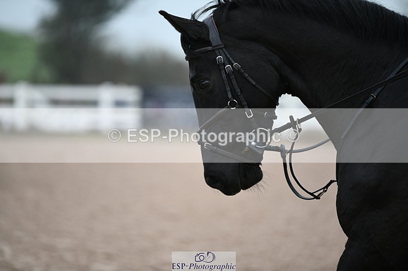 241103A-094226-06544 - SUN Cls 20 Snr 1.05m