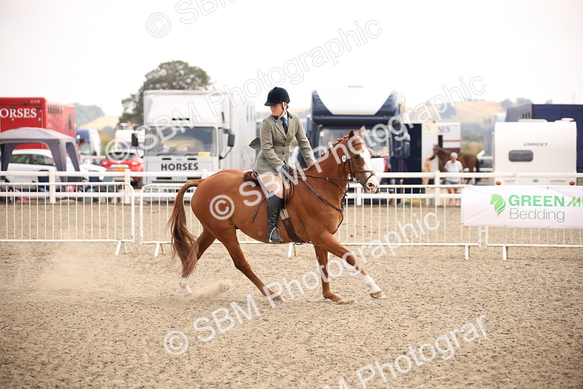 SBM_13578 - Class 406b - Working Veteran 50cm (20+)