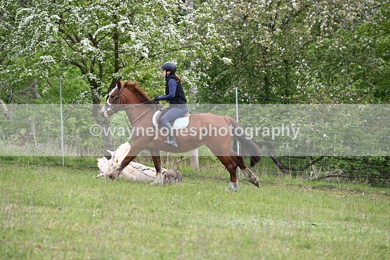 WJ6_1587 - Group 4 A&B Cameras