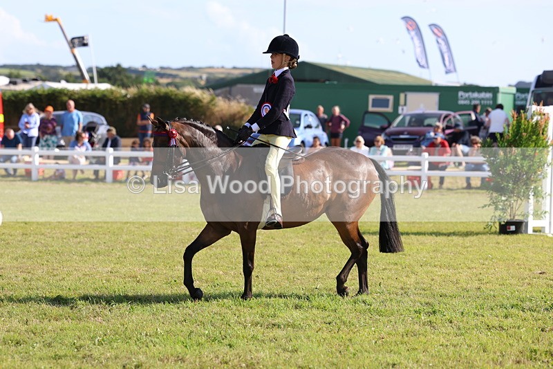 3E7A4042 - Supreme Championship