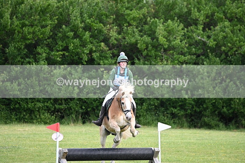 WJ6_2275 - Class 2 40cm