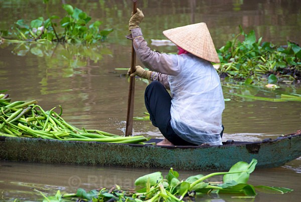  - Vietnam