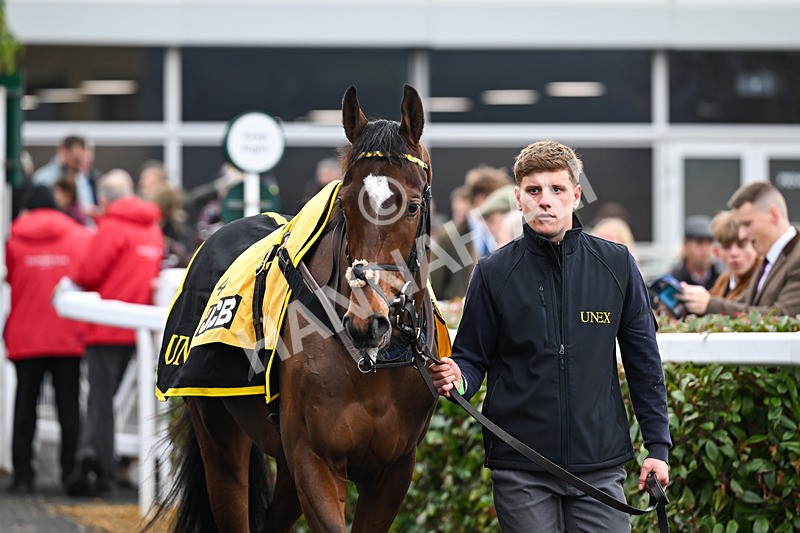 151125-Race 1-Hallelujah -1757 - Race 1