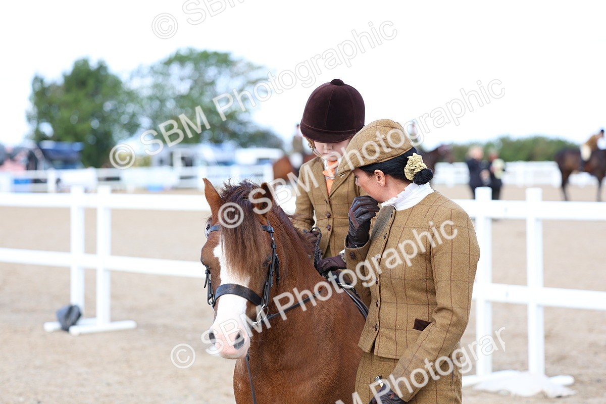 SBM_13105 - Class 309 - Lead Rein Pony