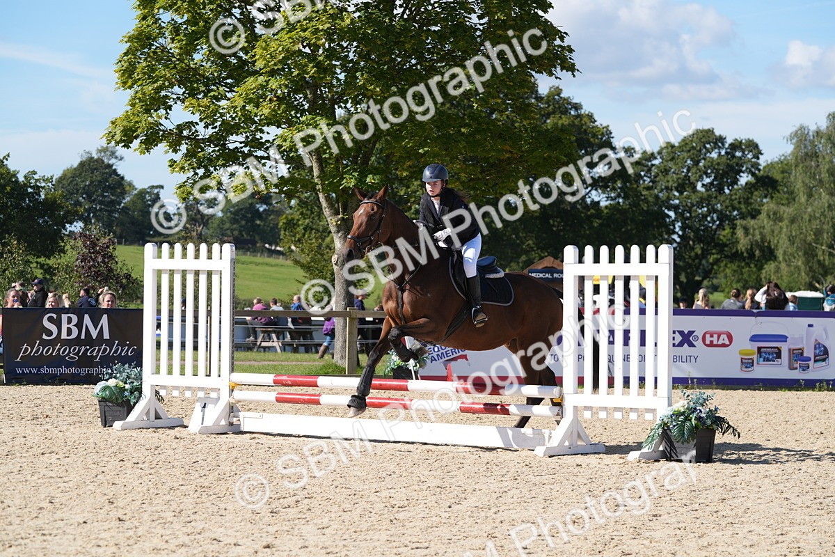 SBM_38638 - J21 - Junior Horse 60cm Championship