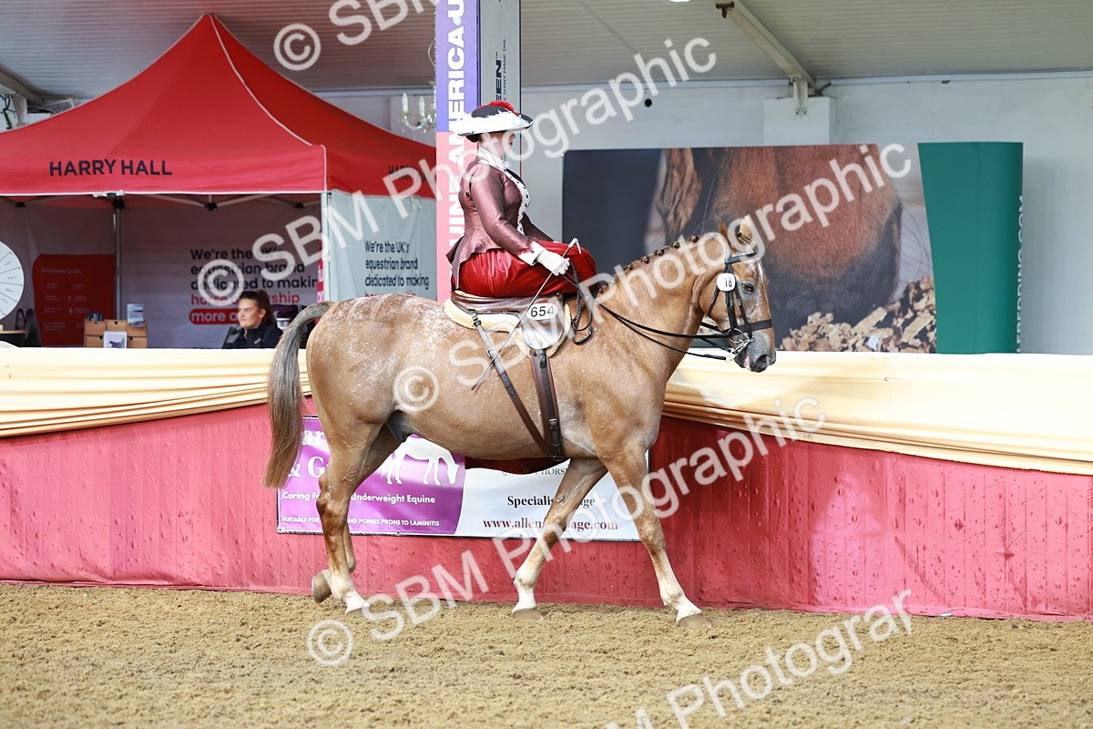 SBM_13536 - Class 105 - Ridden Costume - Side Saddle