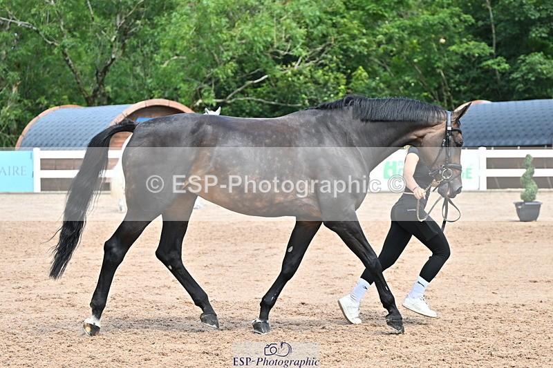 240718A-105254-01312 - Trot Up 12pm to 1pm
