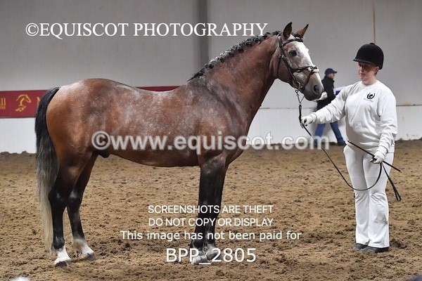 BPP_2805 - LOOSE JUMPING / SPSS