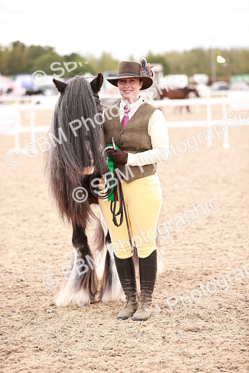 SBM_16373 - Class 413 - Best Condition - Adult