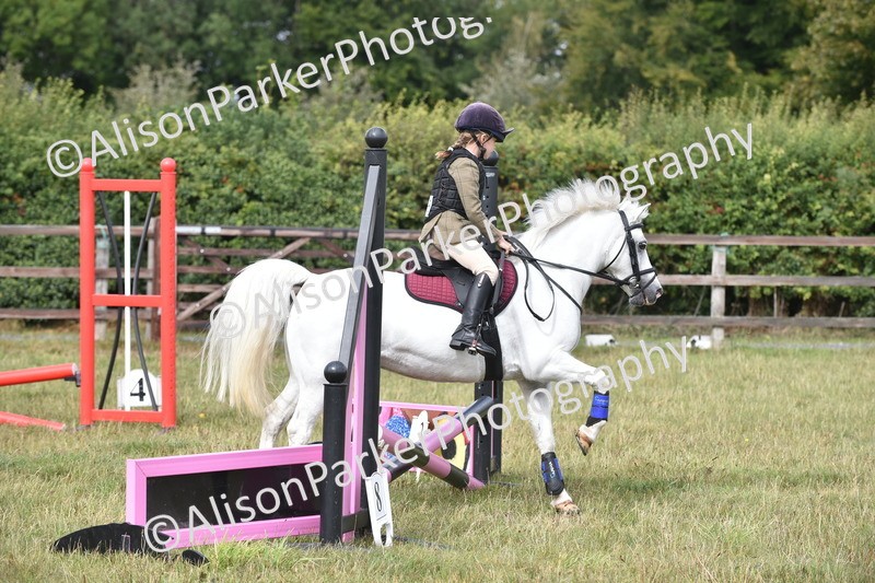 20250831-1809 - Class 8 - Hoof and Foot