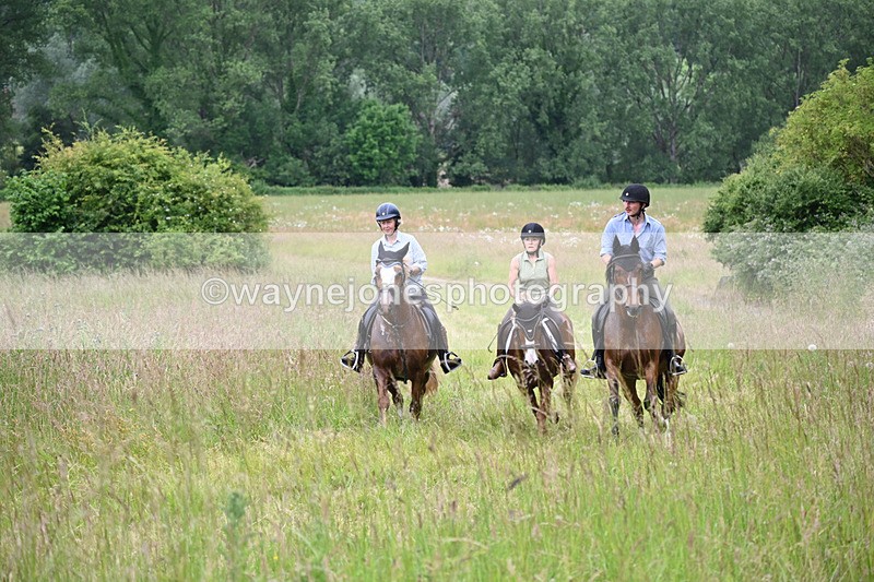 WJ6_8446 - Camera 1 Gallops