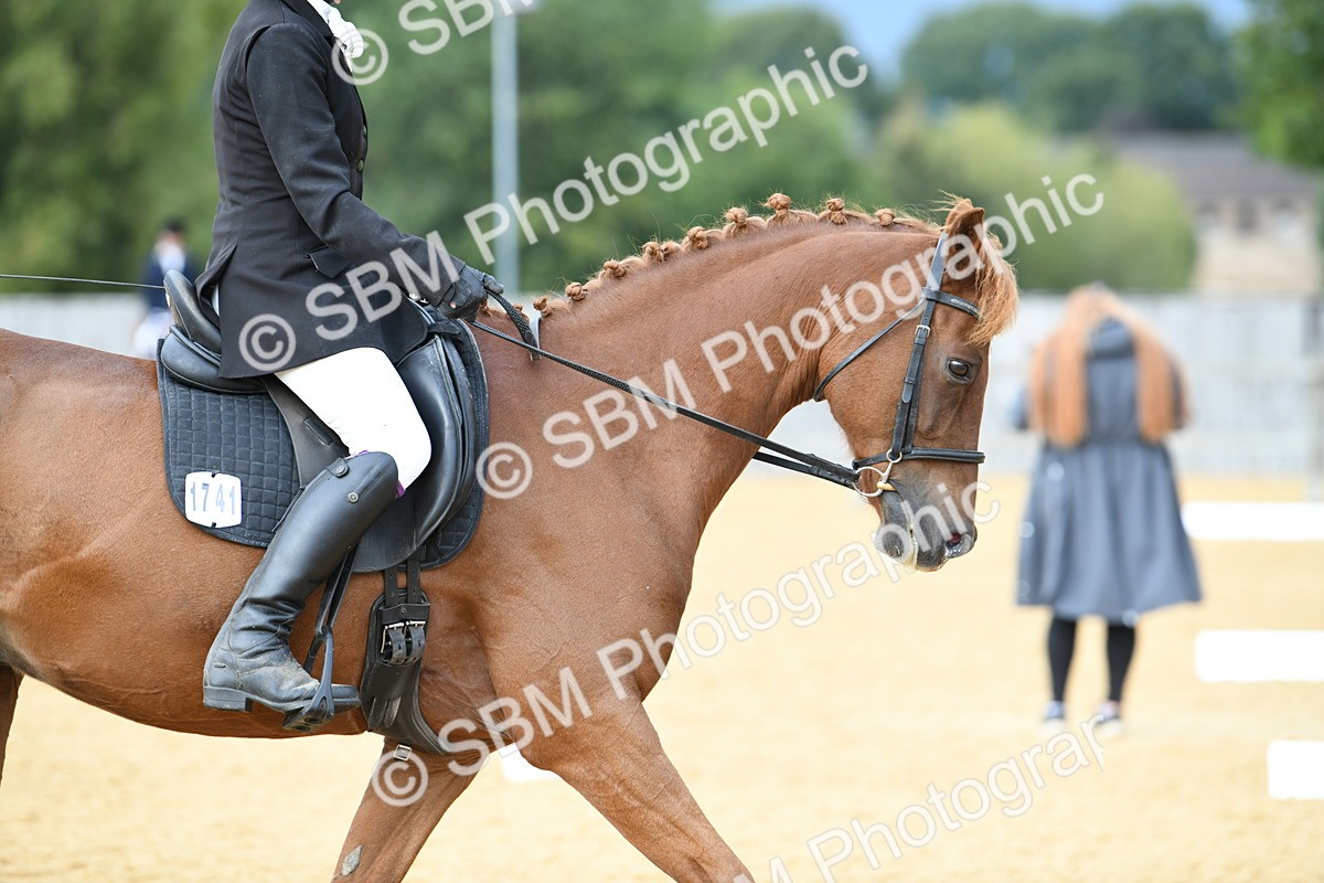 SBM_10953 - D28 Elementary Taster Elementary 42