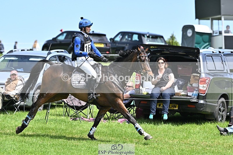 240525-140838-14726 - 162-HAZZLE_DAZZLE-Henry_Hobby