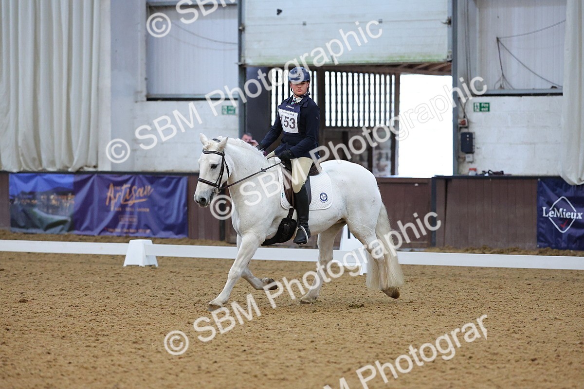 SBM_004270 - Intermediate